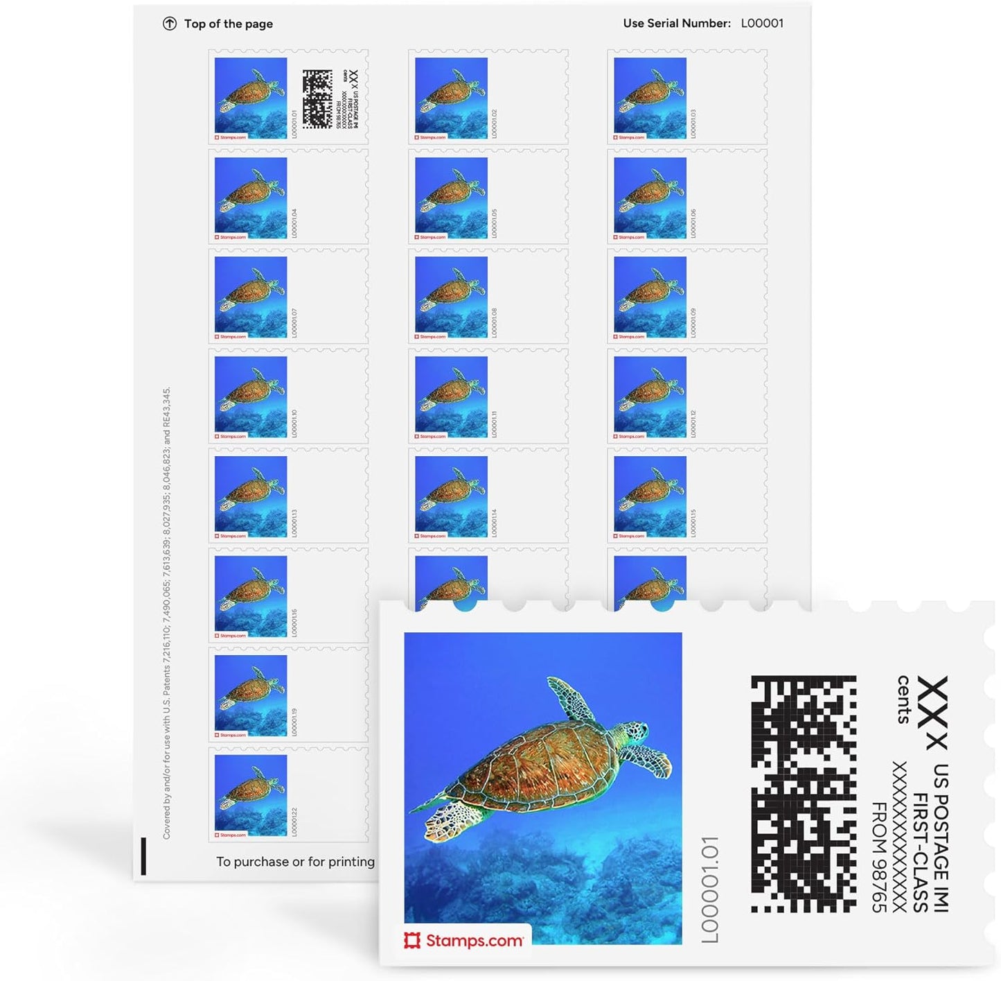 Hawksbill Turtle NetStamps 120-Pack (5 Sheets) Printable Postage Labels (Stamps.com Subscription Required) - Print Approved Postage - Inkjet & Laser Printers - Business, Personal, Home