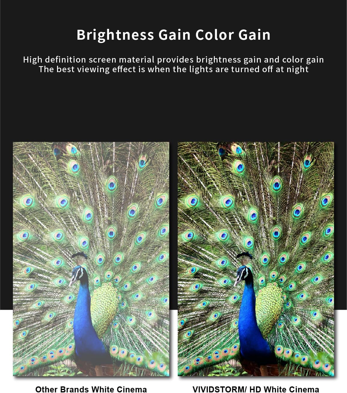 VIVIDSTORM-Movie Screen S 100 inch Motor Rollable Foldaway Portable Screen with White Cinema PVC, 4k 3D HD Gaming/Office Room,Compatible with Standard Projector,VWSDSTW100H