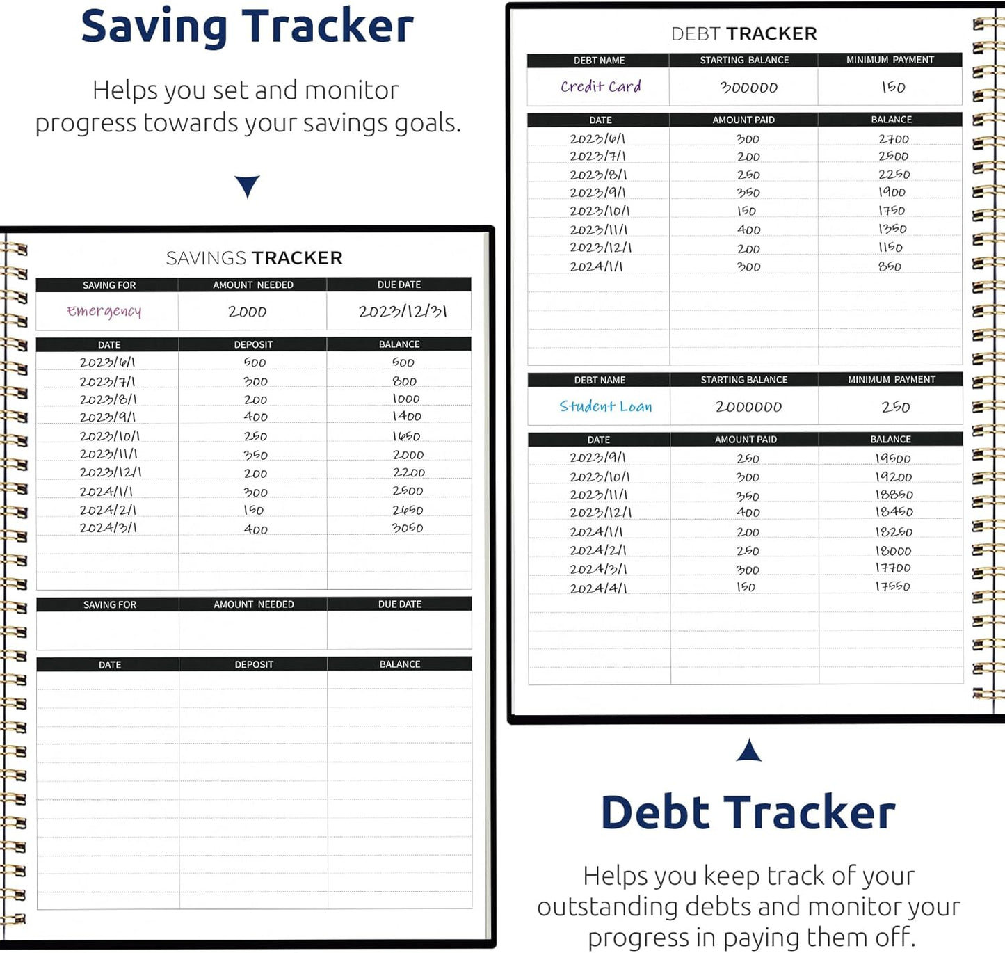 Aesthetic Budget Planner - Monthly Finance Planner with Expense Tracker, Undated Bill Organizer, Budget Notebook to Manage Your Finances, Account Budget Book with Colorful Pattern - Celestial Garden