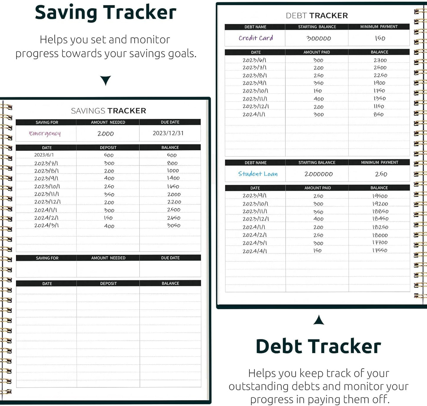 Aesthetic Budget Planner - Monthly Finance Planner with Expense Tracker Notebook, Undated Bill Organizer to Manage Your Finances, Account Book with Colorful Pattern-Wildflower Reverie